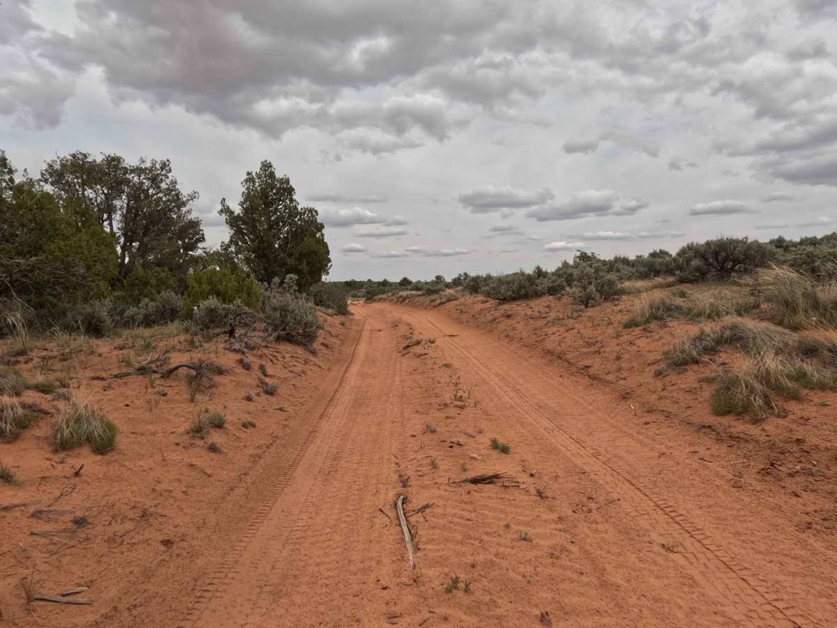 BLM 63 photo 4