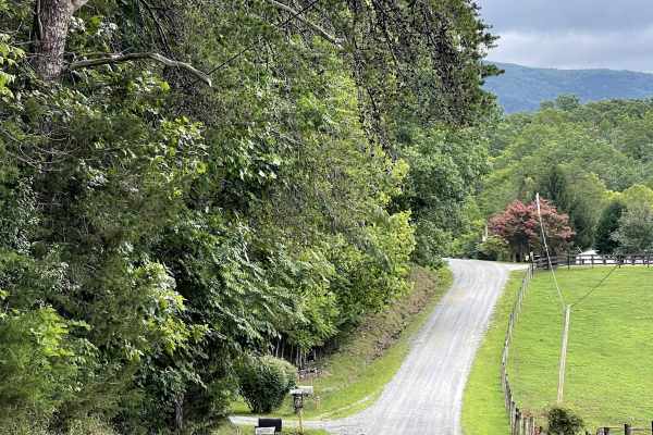 Allen Branch Road