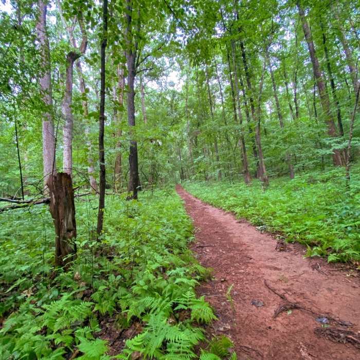Near Main Loop Trail