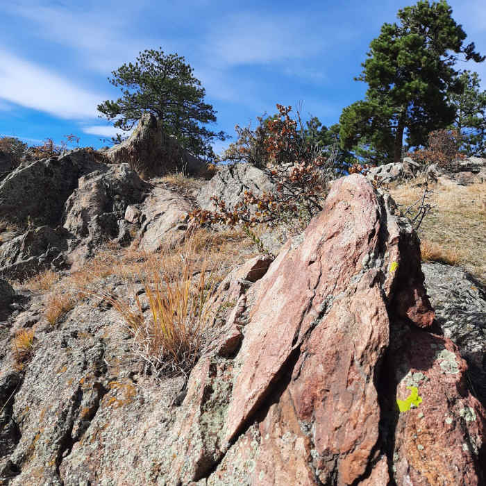 Near Genesee Mountain Trail Loop