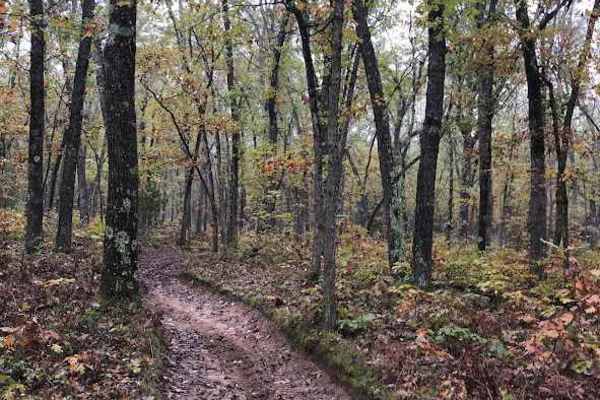 Little "O" Motorsport Trail