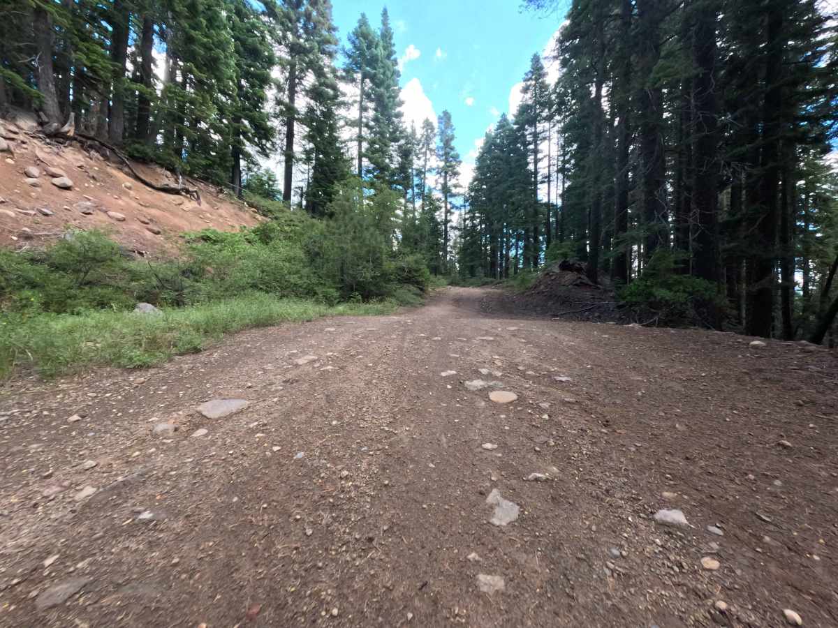 Pole Creek Spur - FS 5708-004 photo 2