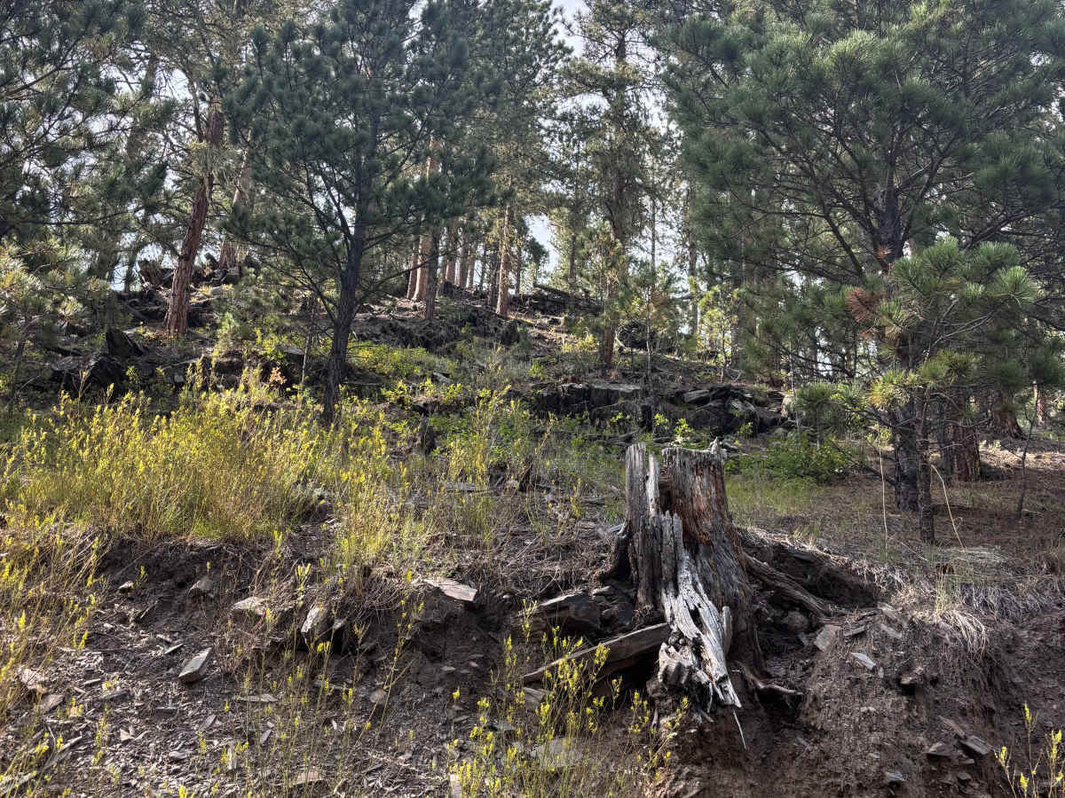 Lind Gulch photo 3