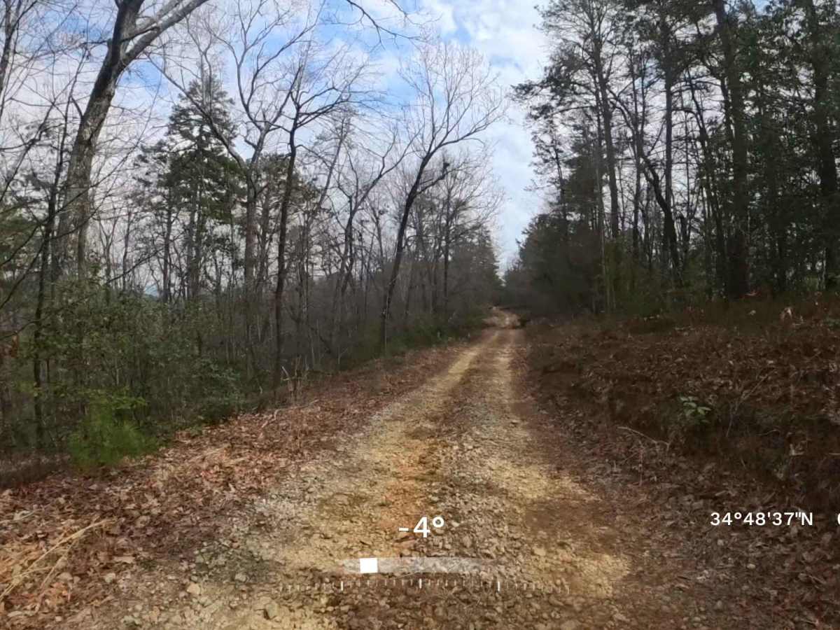 FS 518 trail photo