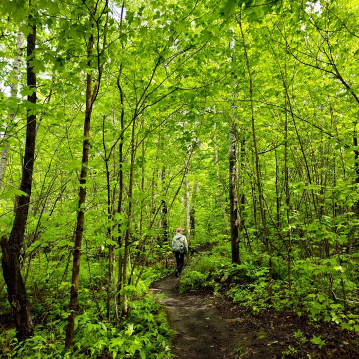 Near Apostle Islands Sea Cave Trail