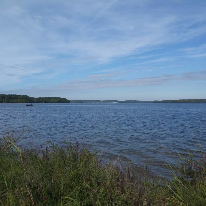 Near Volunteer Trail