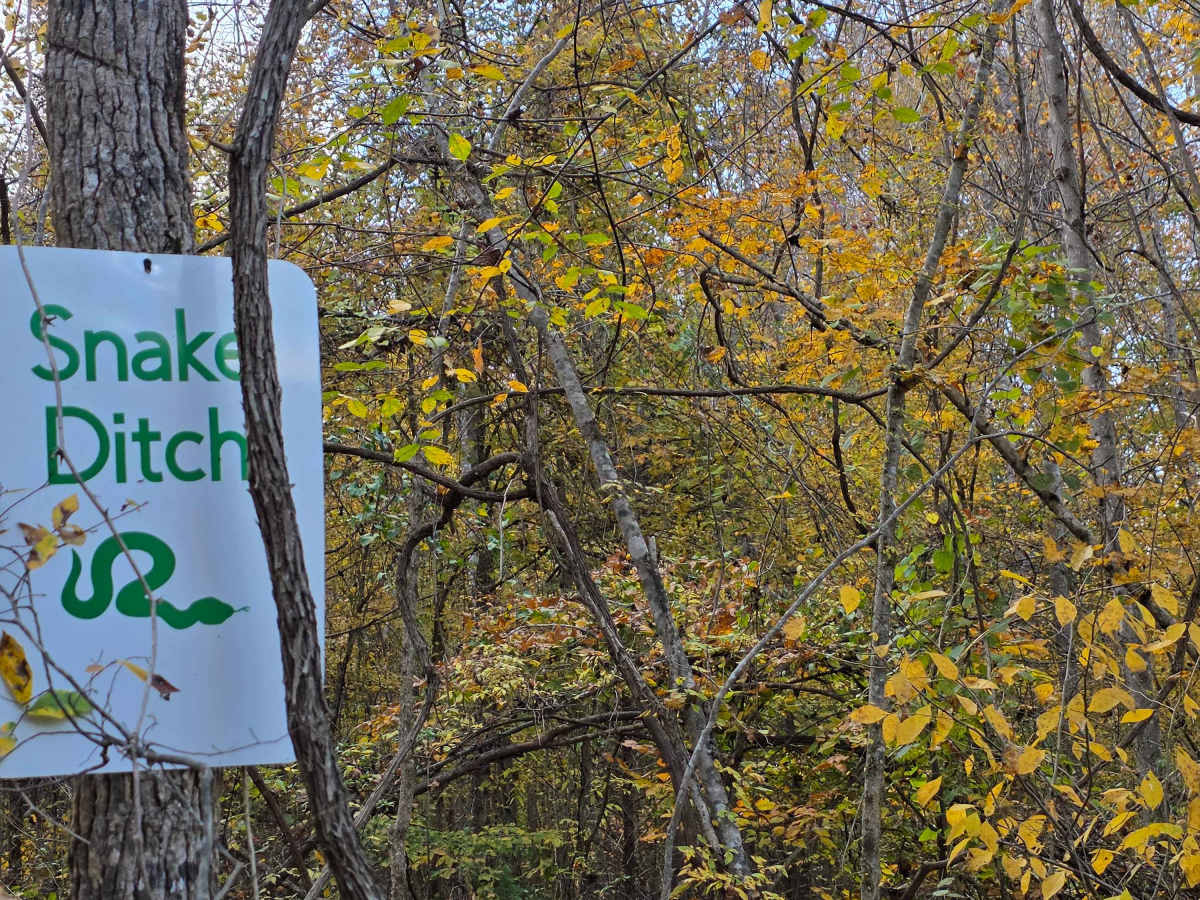 Snake Ditch trail photo