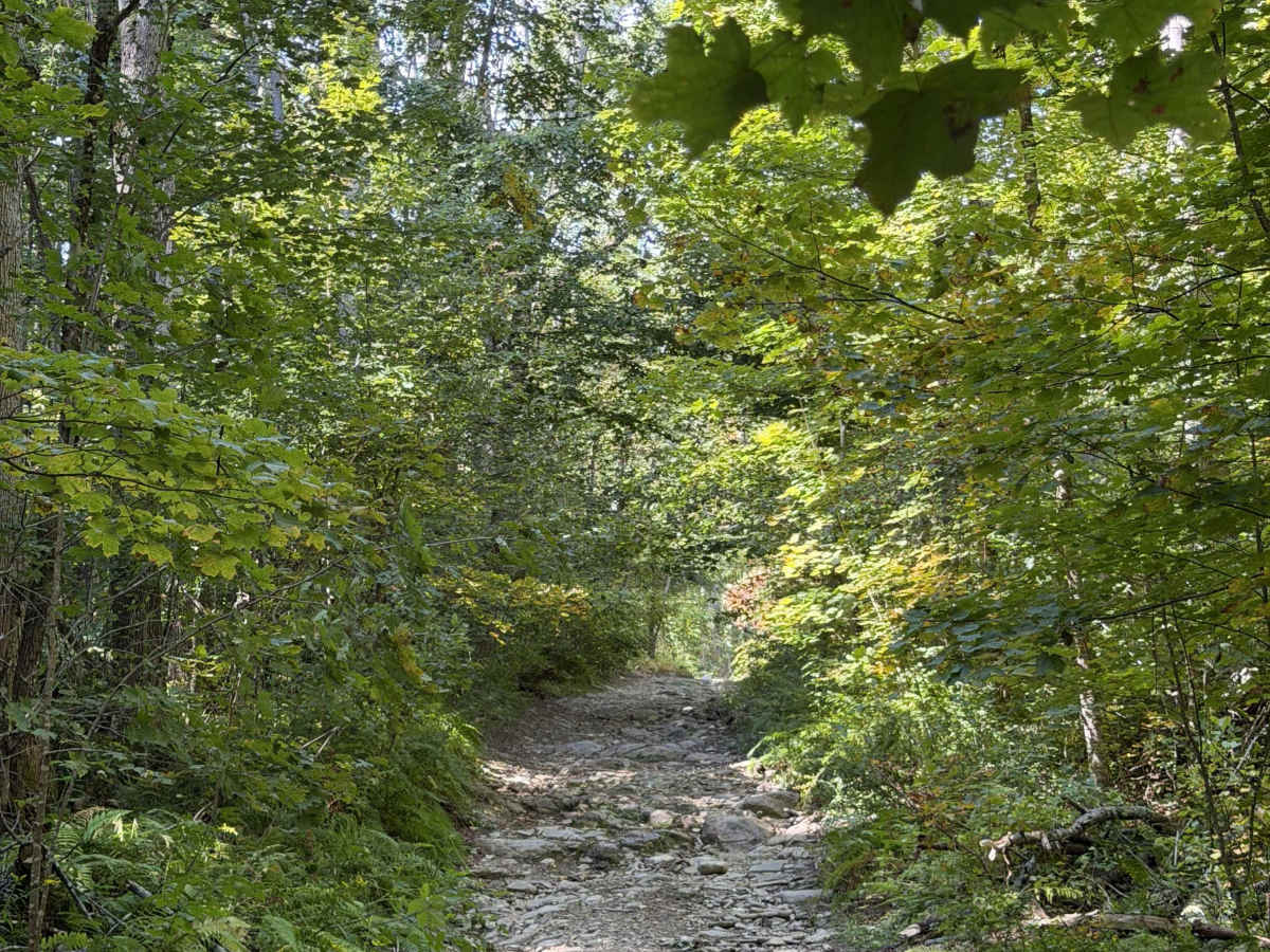 Bartlett Hill Road photo 5