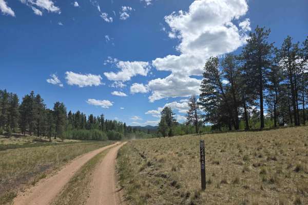 Nice Camp Road - FS 244A