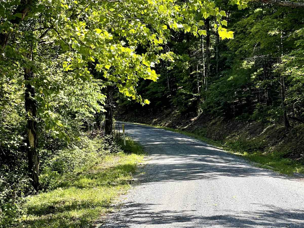 Chatham Road trail photo