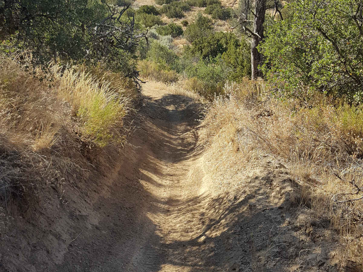 Trail 31 photo 6