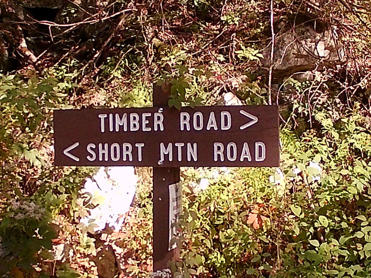 Timber Road photo 2