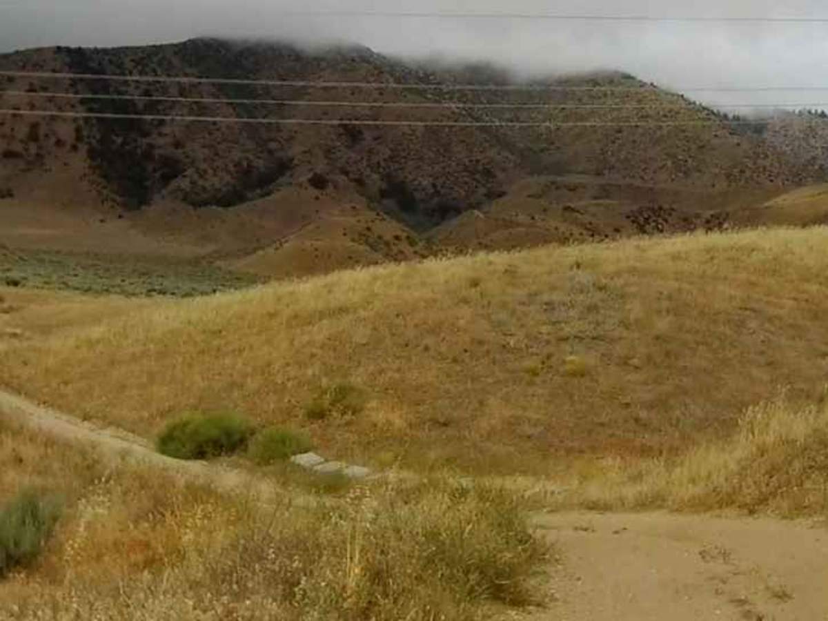 Condor Trail photo 2