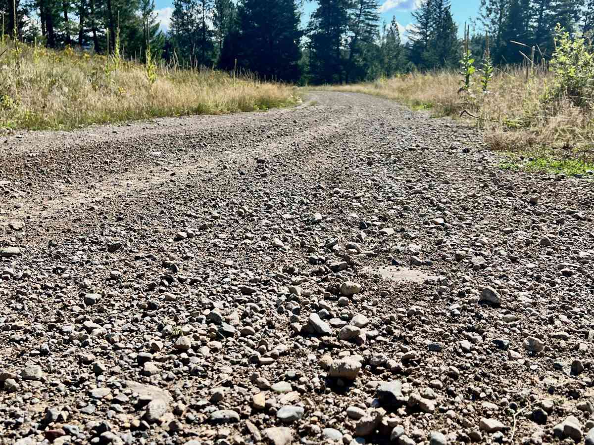 Rock Lake Road photo 6