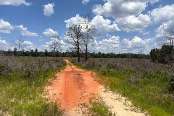 Prairie Trail