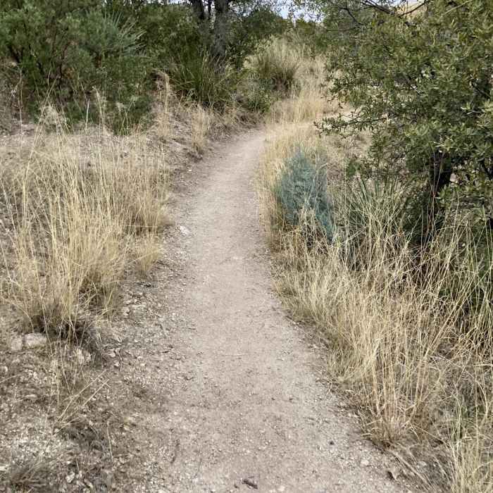 Near Thimble Peak via Sycamore Reservoir Trail