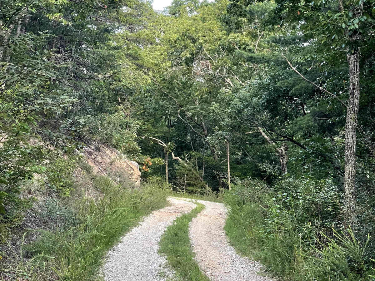 Kelley Hollow photo 2
