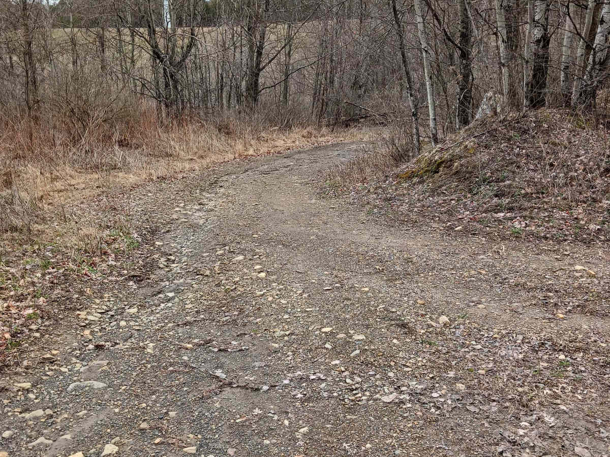 Trail 4L - Rock Run Recreation Area photo 2