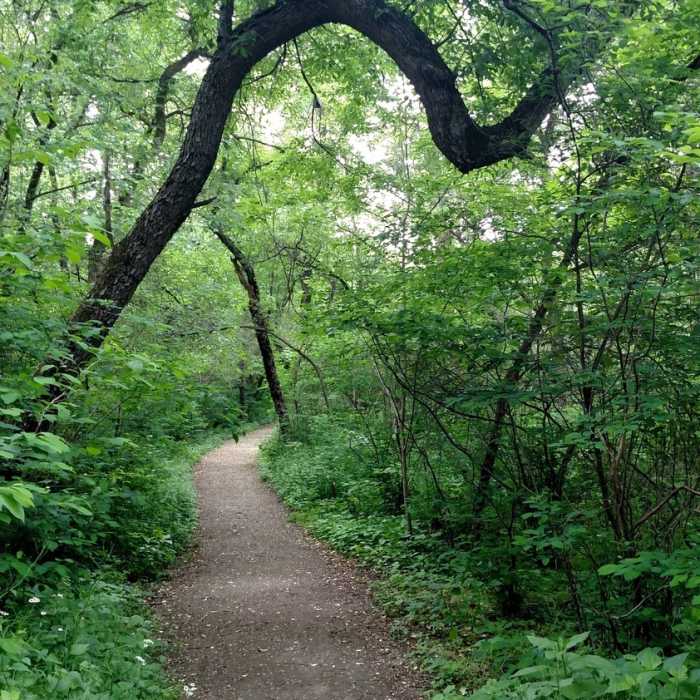 Near Shawnee Lookout