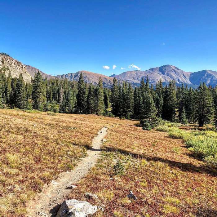 Near Ptarmigan Lake Trail #1444
