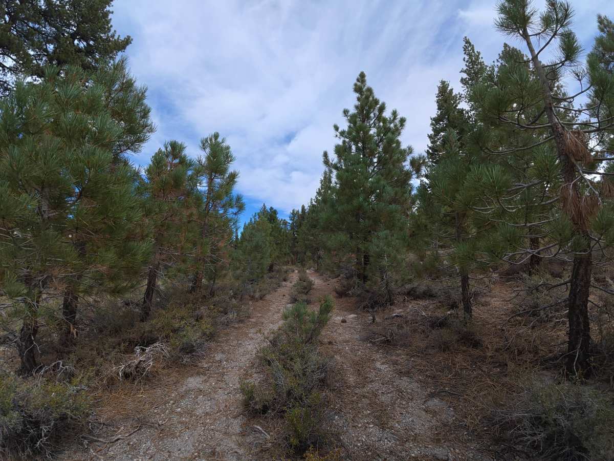 FS 1S89 photo 4