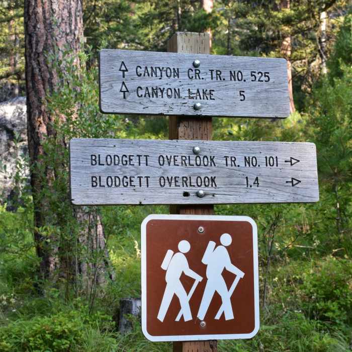 Near Canyon Creek Lake