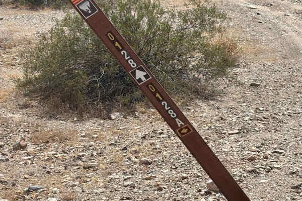 LP 323