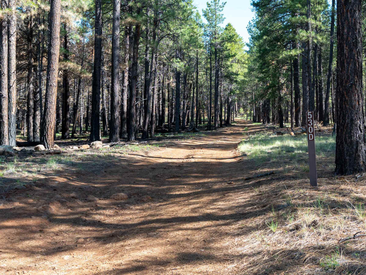 FS 530D trail photo