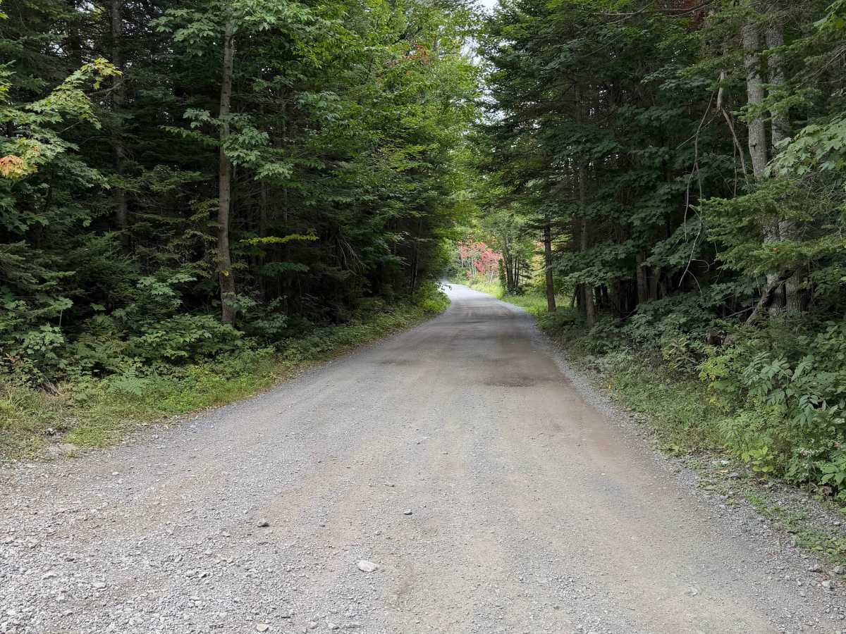 Carey Road photo 2