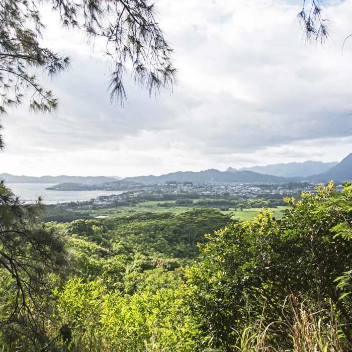 Near Pu'u Ma'eli'eli Trail Near Pu'u Ma'eli'eli Trail