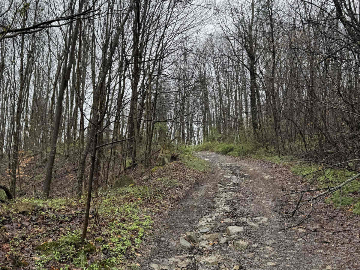W8 trail photo