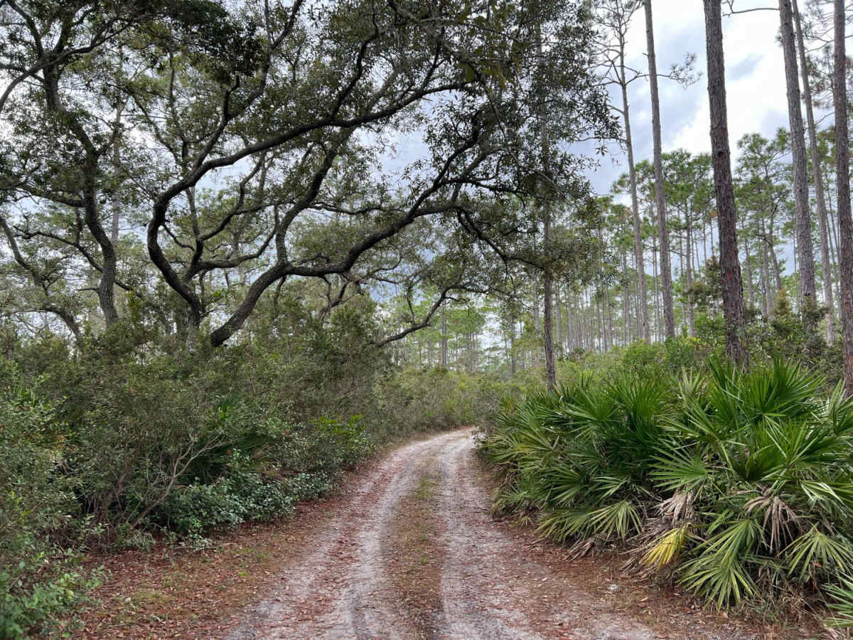 River Road Turn Around photo 5