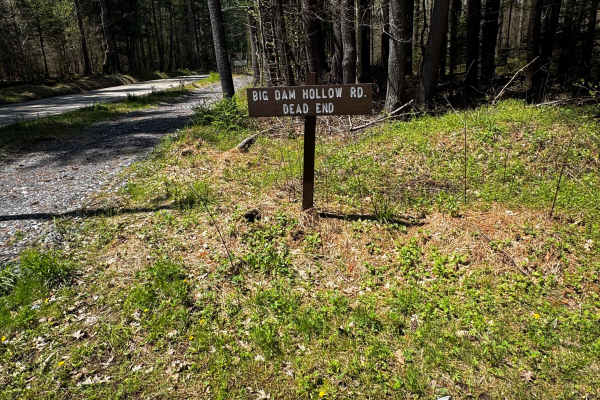 Big Dam Hollow Road
