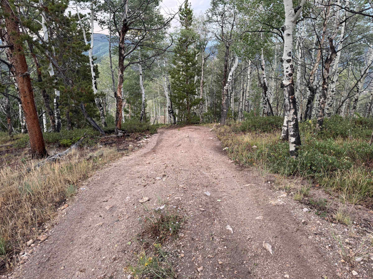 Flick Ridge Road photo 5