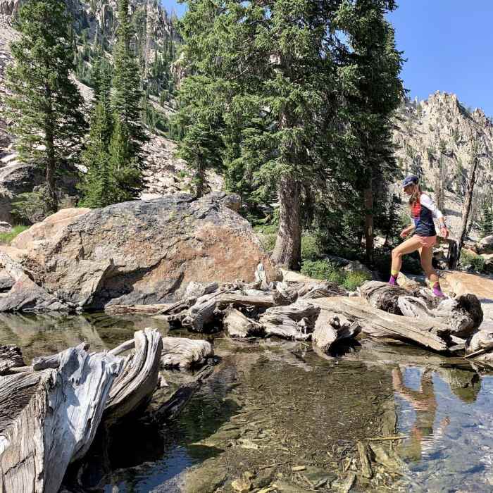 Near Alpine Way to Goat Lake