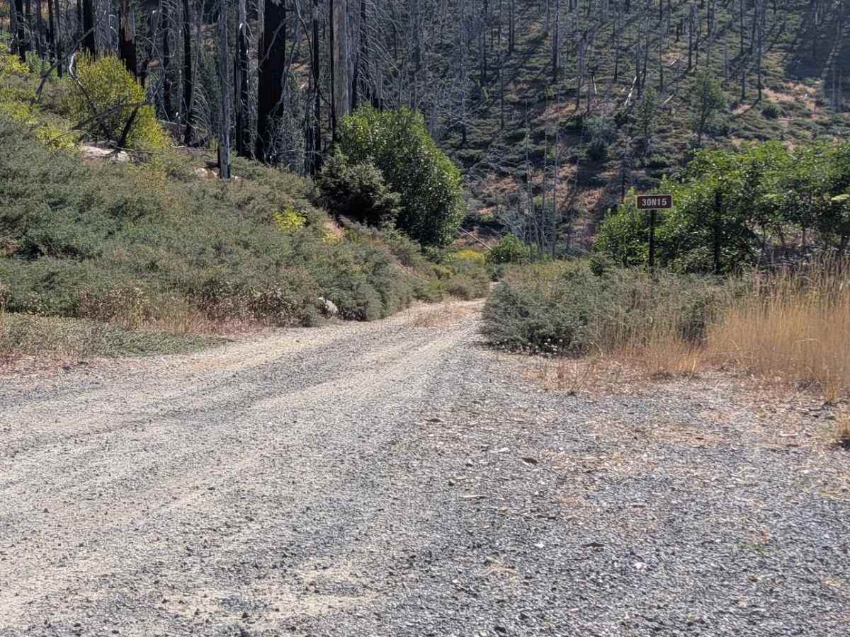 Chanchelulla Gulch Road - FS 30N15  photo 2