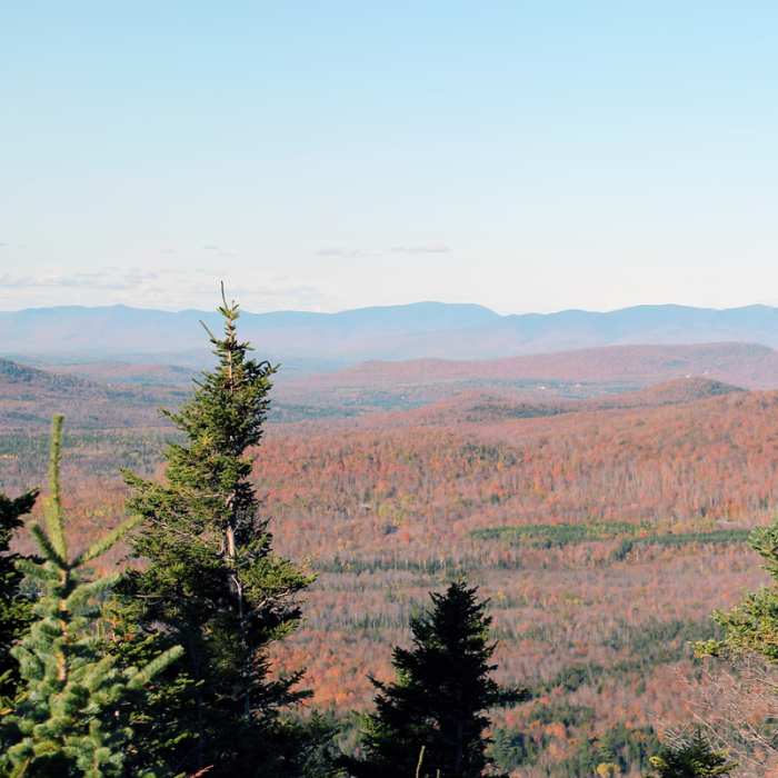 View from Bald Mountain, Franconia (494054) Near Bald Mountain/Artists Bluff Loop
