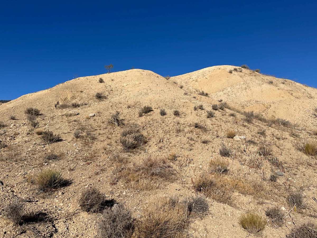 Monument Single Track trail photo