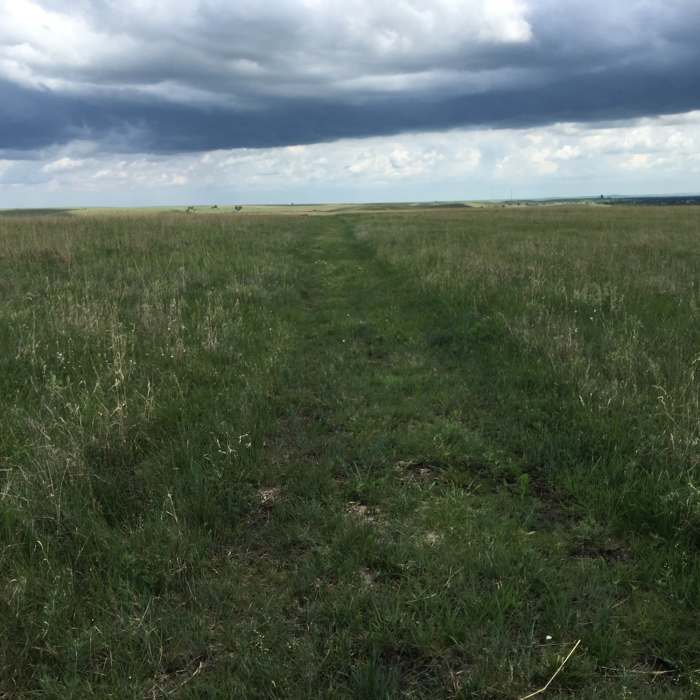 Near Tallgrass Prairie National Preserve