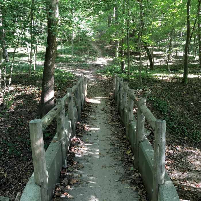 Near Cherokee Park Loop