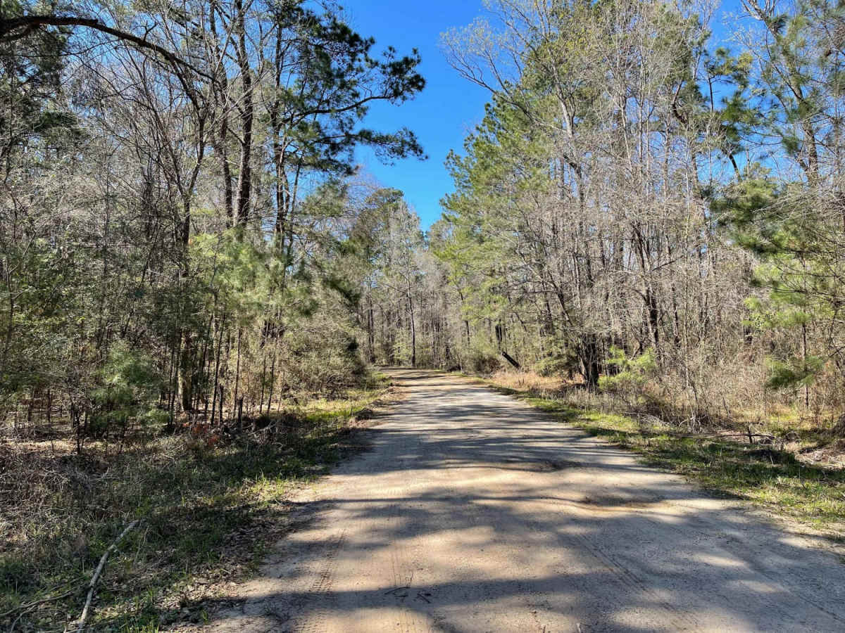 Graham Road photo 4