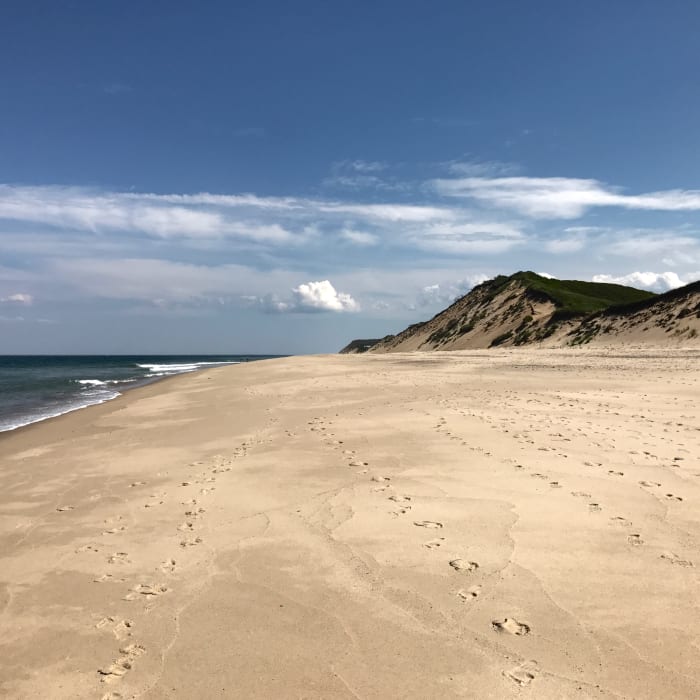 Walking the Great Beach is a must-do on any visit to the Cape. Near Pamet Loop