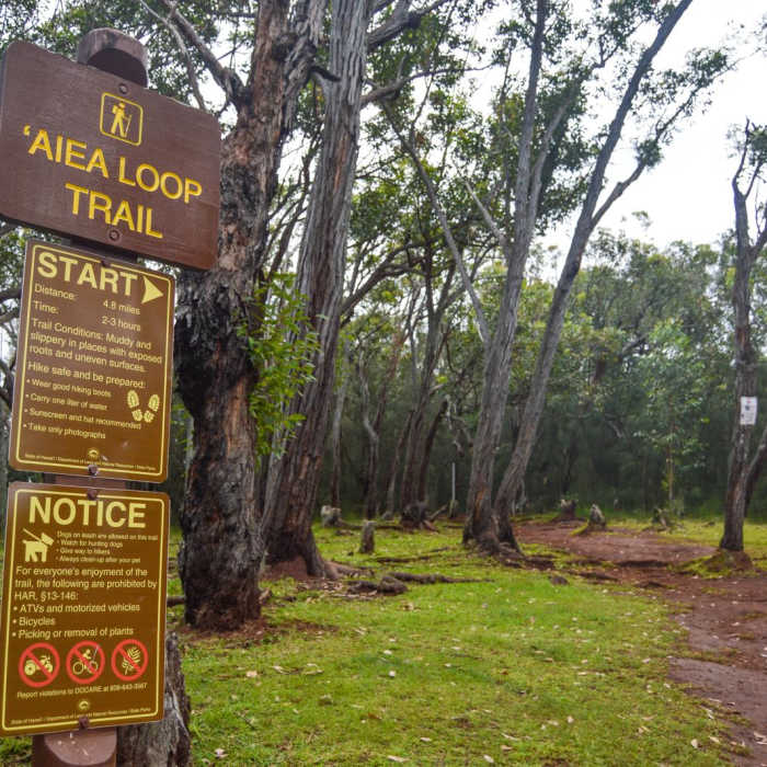 Near Aiea Loop Trail Near Aiea Loop Trail