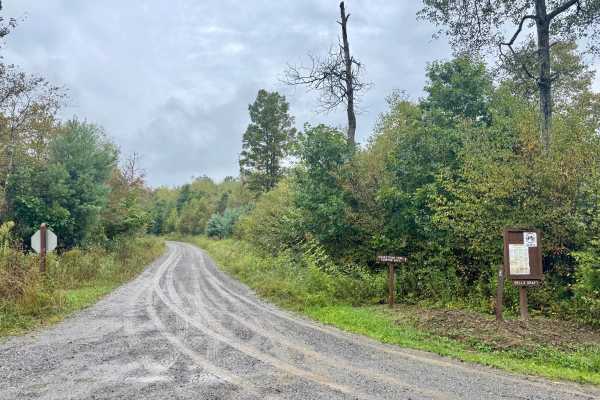 Belle Draft Road