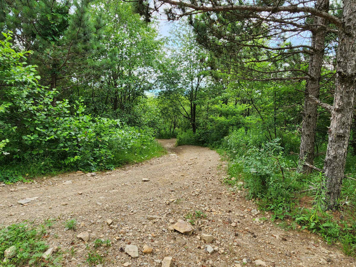 Trail 10B - Rock Run Recreation Area photo 3