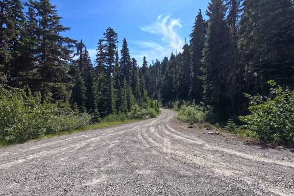 Tumble Creek - FS 4600125