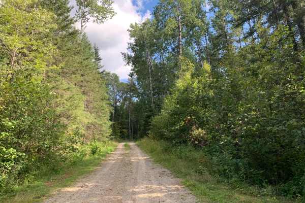 Marion Creek - FS 492