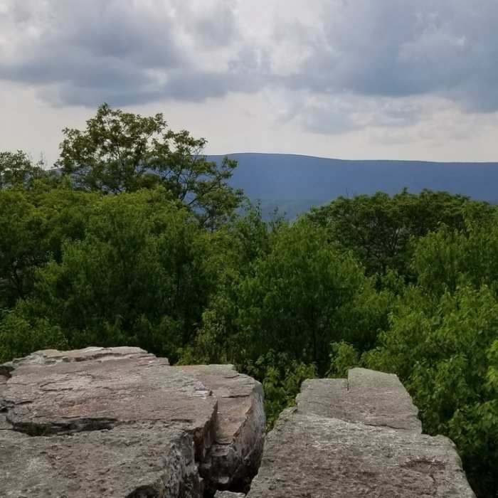 Near Kelly Knob Out and Back