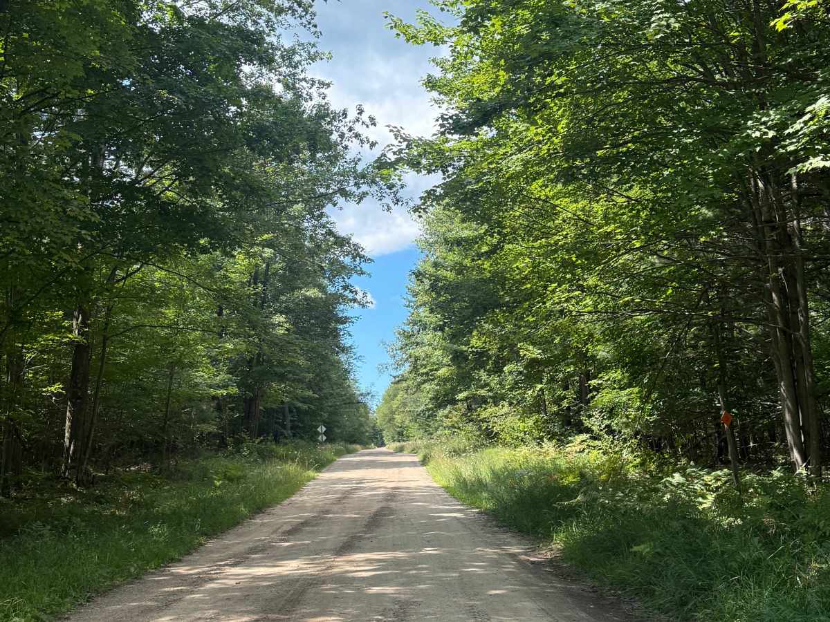 Plagany Trail trail photo