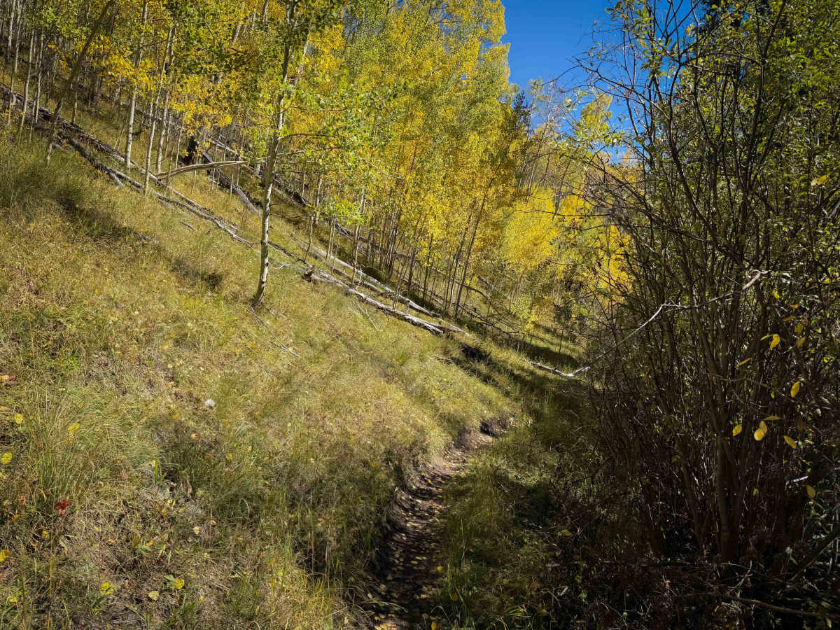 East Willow Trail - FS 609  photo 5
